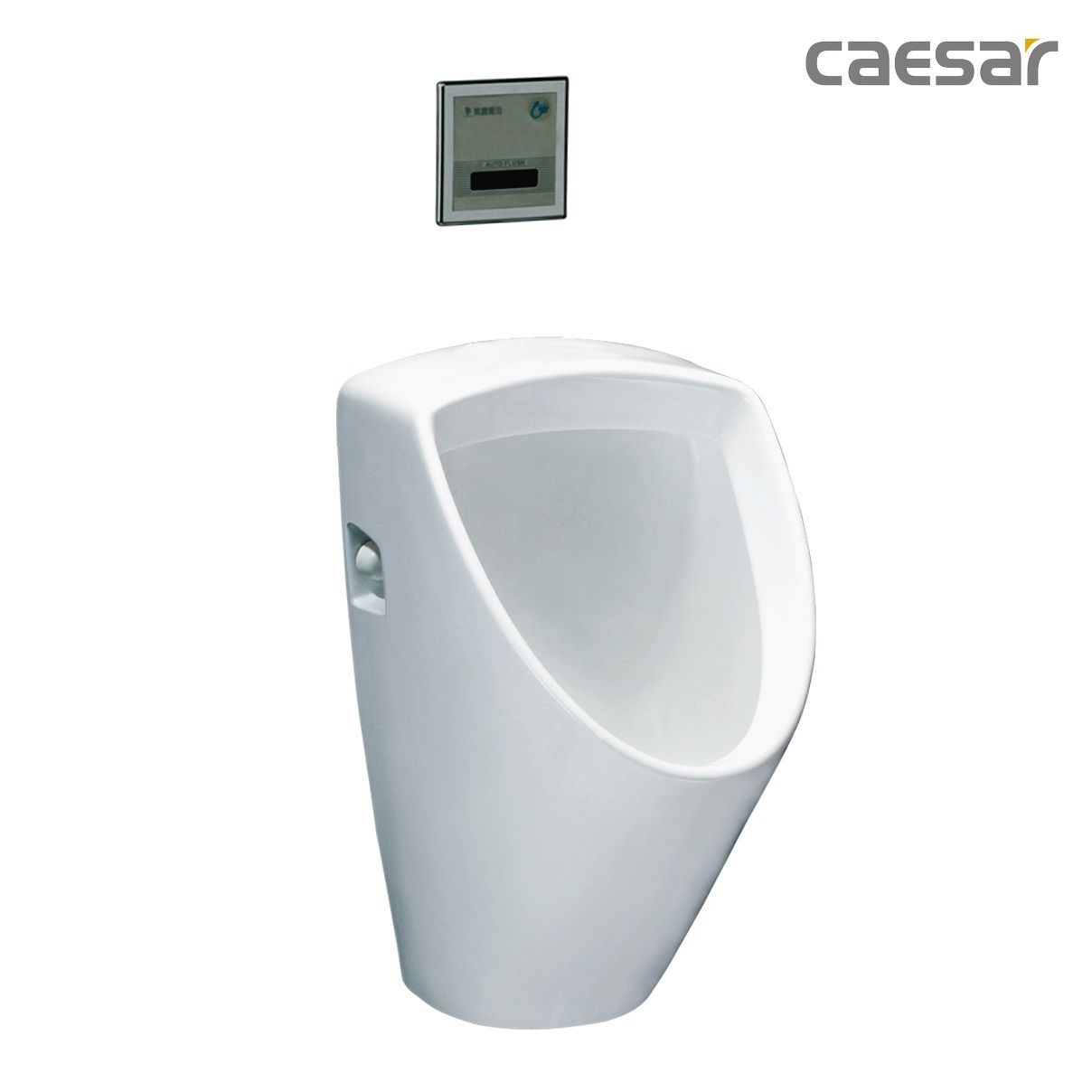 Bồn tiểu Caesar U0261-A637
